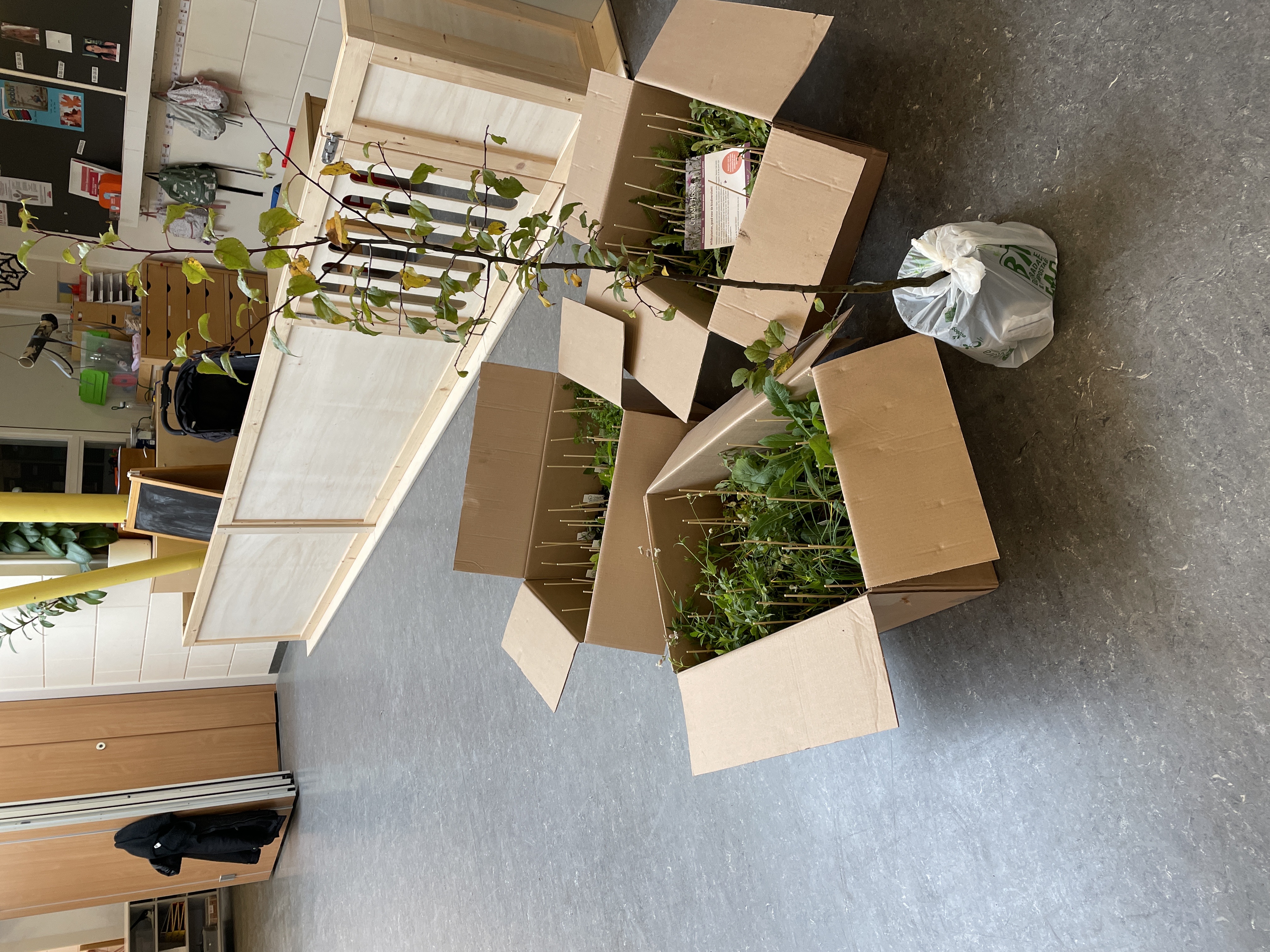 Groene vingers gezocht