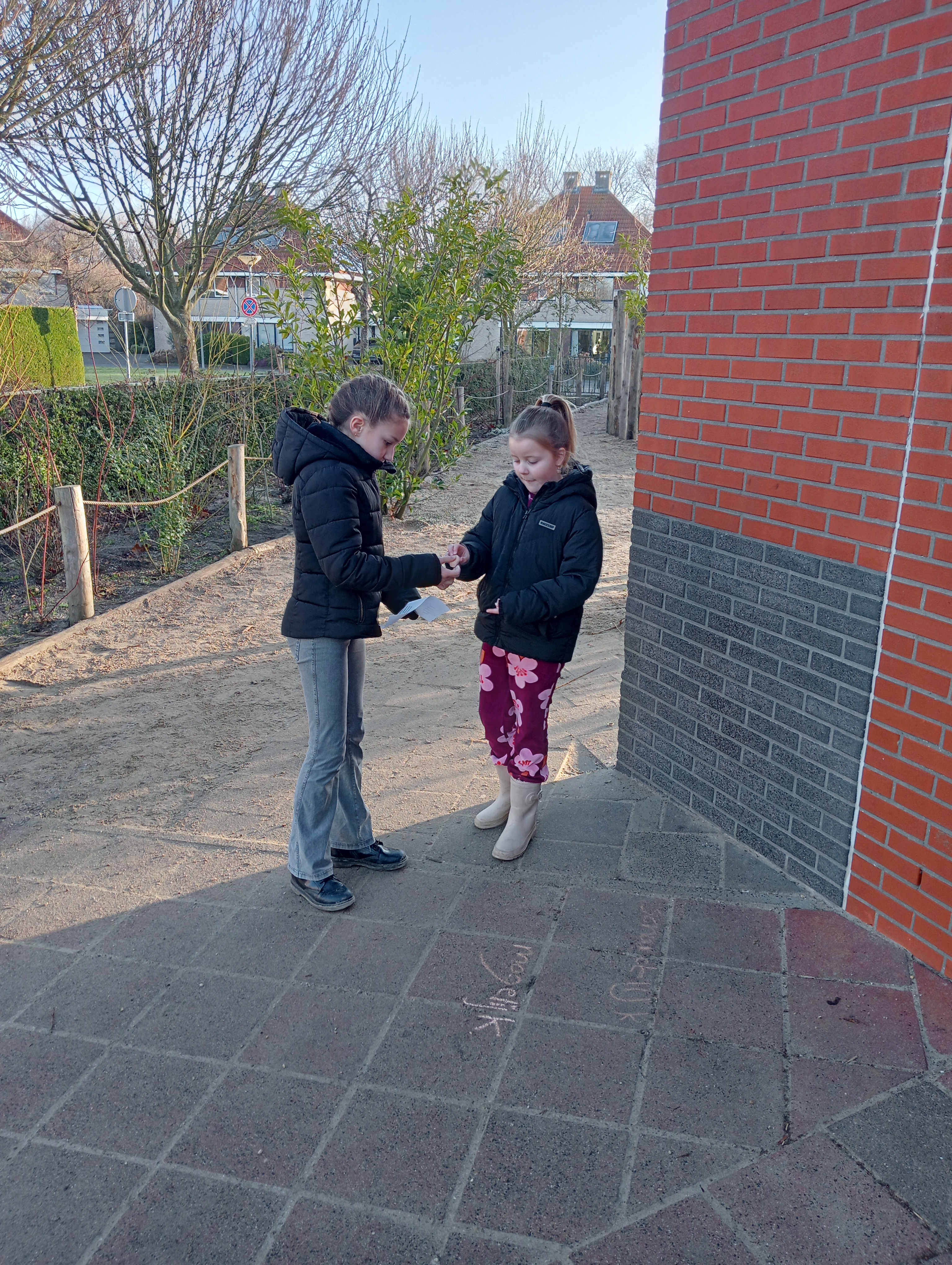 Weekoverzicht groep 5 