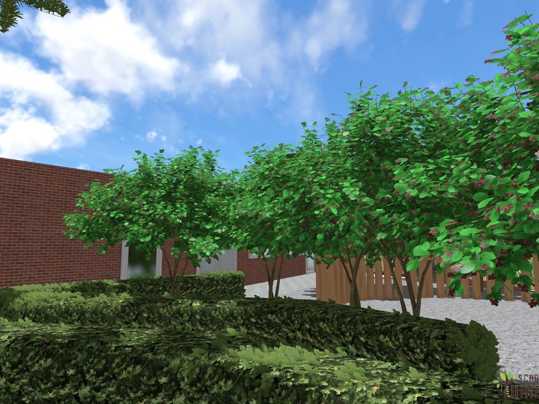 Krentenboompjes-haagjes - verstoppertje Krentenboompjes-haagjes - verstoppertje