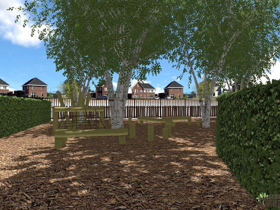 In het klimparadijs - Berken van Doornbos In het klimparadijs - Berken van Doornbos