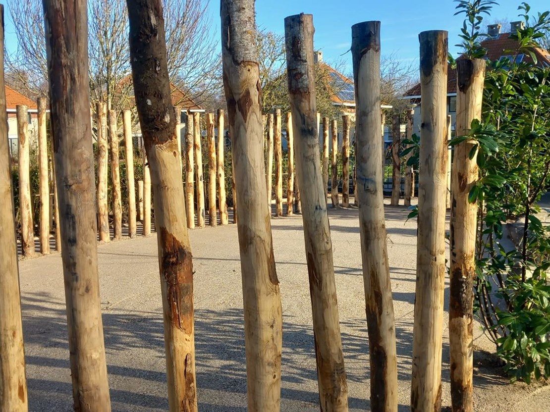 11a28f7e-c8c2-4356-bbe6-4aa28412d4ed 11a28f7e-c8c2-4356-bbe6-4aa28412d4ed